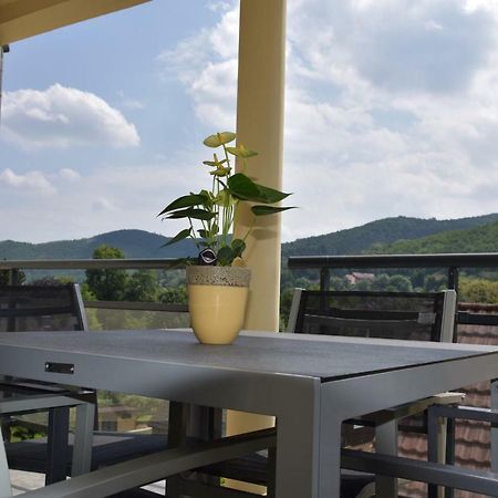 Appartement Le brin d'osier à Kaysersberg-Vignoble Extérieur photo