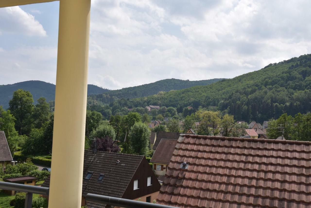 Appartement Le brin d'osier à Kaysersberg-Vignoble Extérieur photo