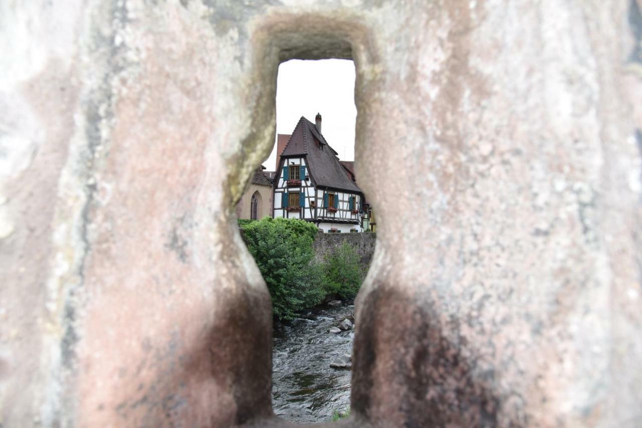 Appartement Le brin d'osier à Kaysersberg-Vignoble Extérieur photo