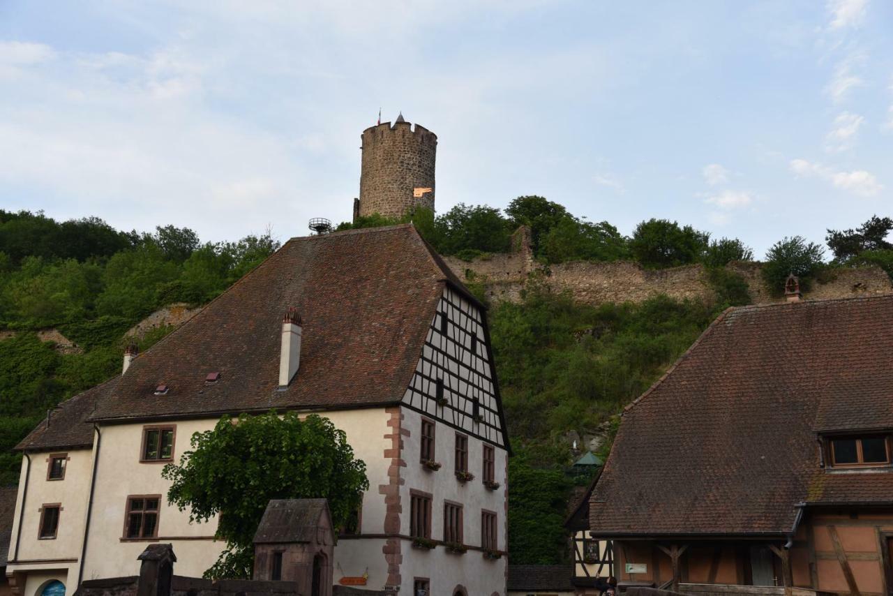 Appartement Le brin d'osier à Kaysersberg-Vignoble Extérieur photo