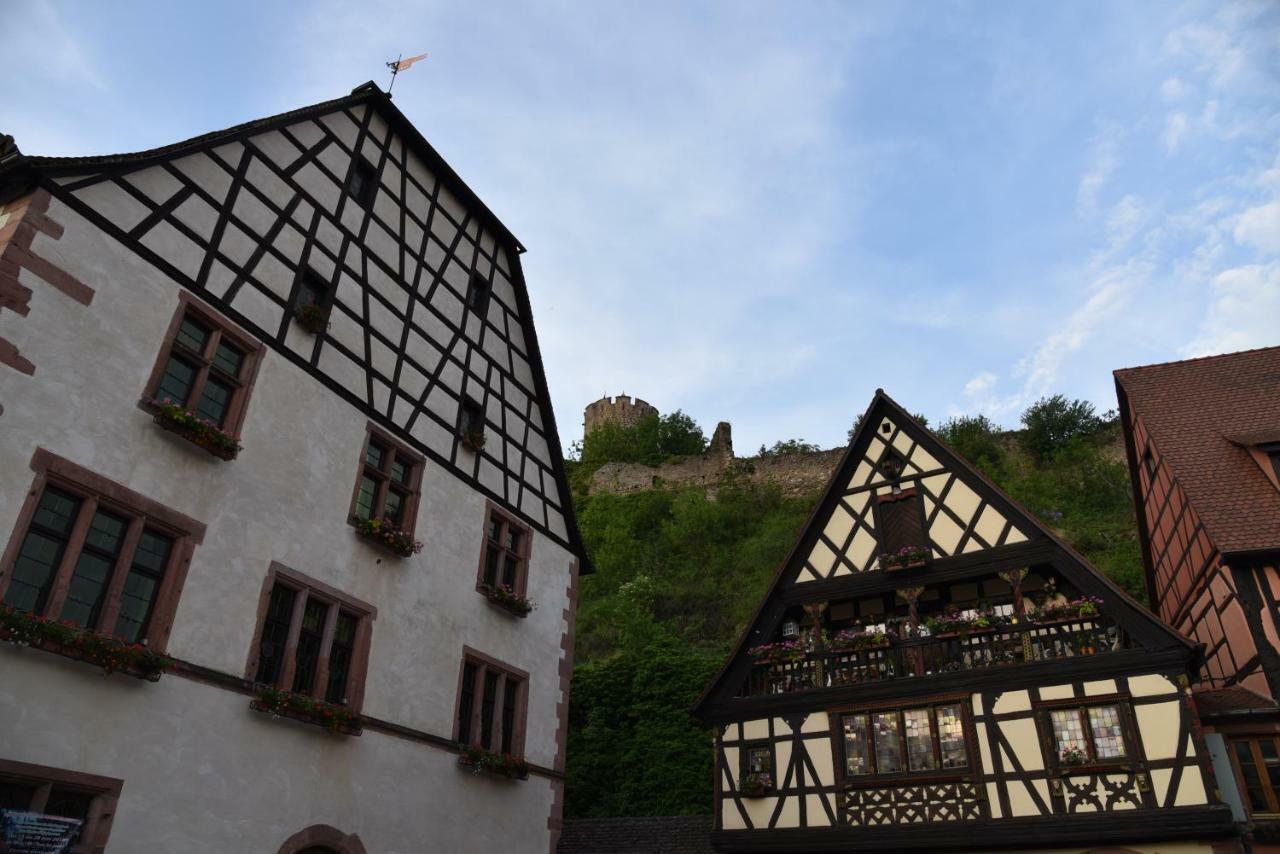 Appartement Le brin d'osier à Kaysersberg-Vignoble Extérieur photo